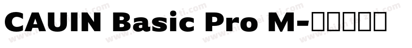 CAUIN Basic Pro M字体转换